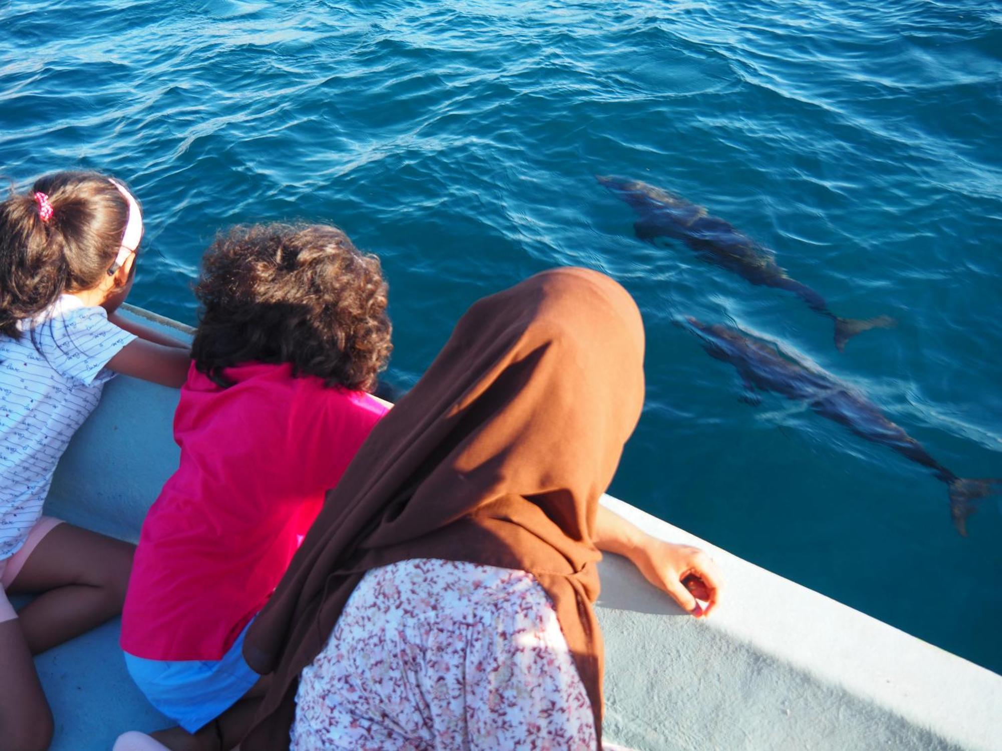 Club Kaafu Maldives Pensión Dhiffushi